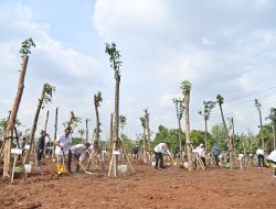 Hijaukan Jabodetabek, Sinar Mas Tanam Ratusan Pohon